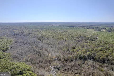 0 Hurst Rd, Tennille, GA 31089