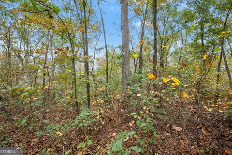 Other - 9 Dons Ct, Royston, GA 30662 photo 9 of 10