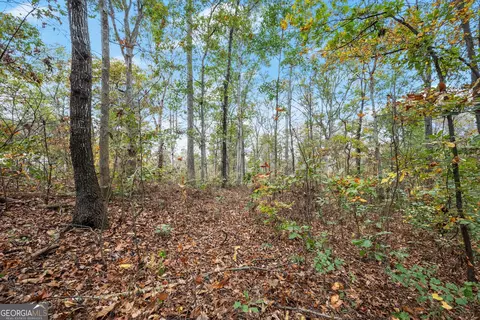 Other - 9 Dons Ct, Royston, GA 30662 photo 8 of 10