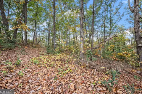 Other - 9 Dons Ct, Royston, GA 30662 photo 7 of 10