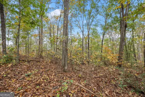Other - 9 Dons Ct, Royston, GA 30662 photo 10 of 10