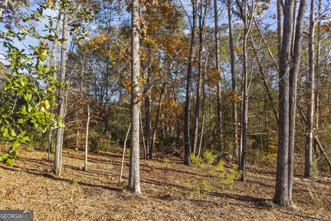 Exterior - 321 Quail Forest Cir, Toccoa, GA 30577 photo 12 of 13