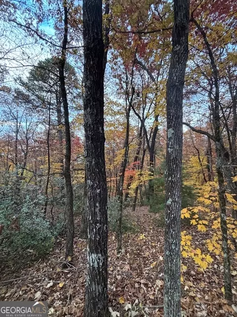 595 Whispering Dale Dr, Clarkesville, GA 30523