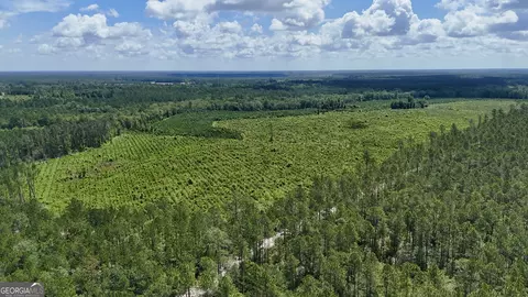 Tract 2 Bennett Mill Pond Road, Odum, GA 31555