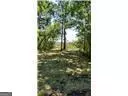 0 Briar Patch Lot 15 Pl, Townsend, GA 31331 photo 2