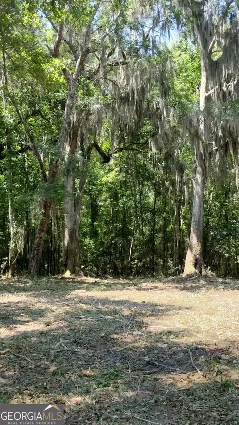 0 Briar Patch Lot 15 Pl, Townsend, GA 31331