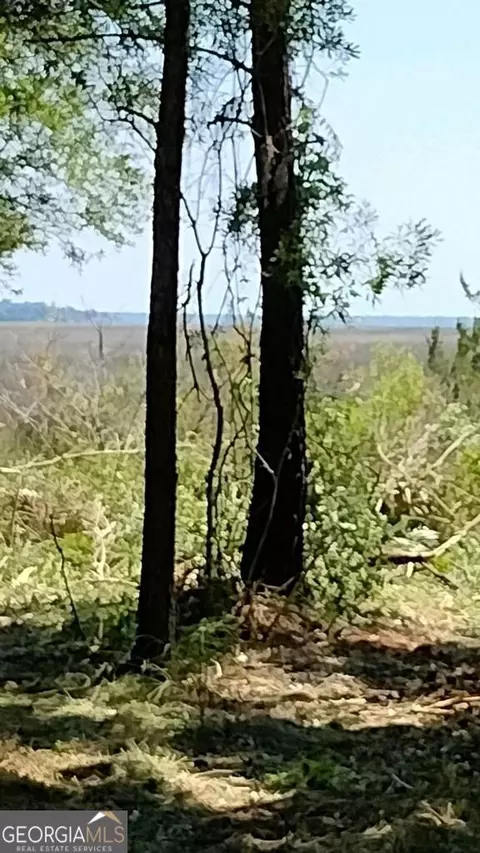 0 Briar Patch Lot 15 Pl, Townsend, GA 31331 photo 3