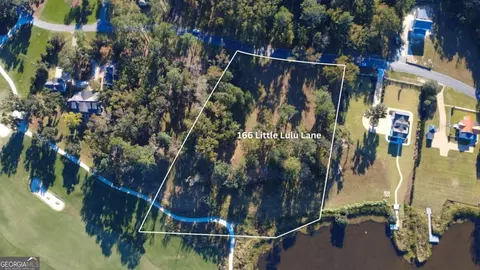 166 Little Lulu Ln, Richmond Hill, GA 31324