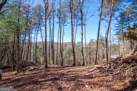 lot2 A Clays Way, Blue Ridge, GA 30513