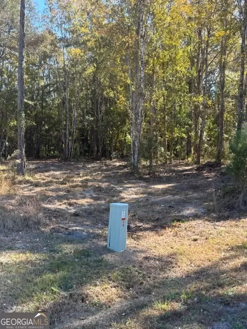 136 Herrin Rd, Woodbine, GA 31569
