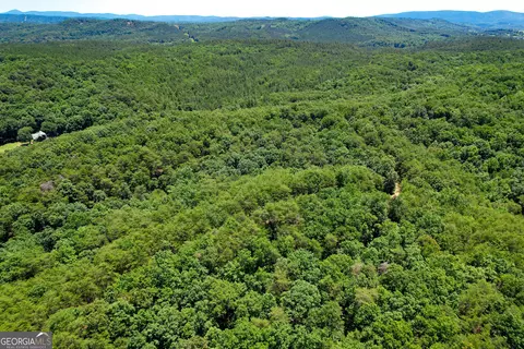111 Acres Off Slate Mine Rd, Fairmount, GA 30139