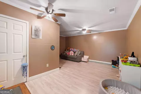Other - 101 Apache Pointe Dr, Senoia, GA 30276 photo 4 of 6