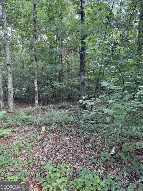 16653 Highway 36, Covington, GA 30014 photo 18