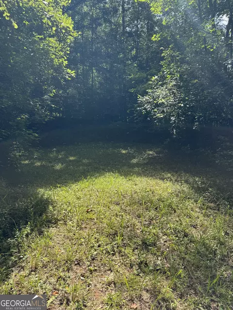 16653 Highway 36, Covington, GA 30014 photo 14