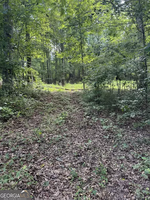 16653 Highway 36, Covington, GA 30014 photo 11