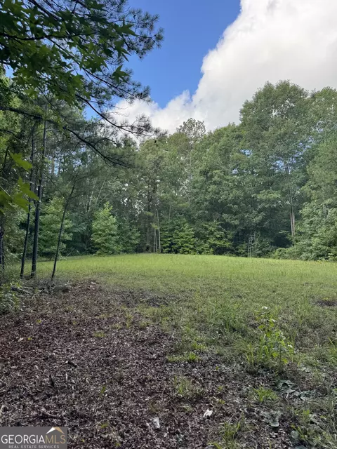 16653 Highway 36, Covington, GA 30014 photo 19