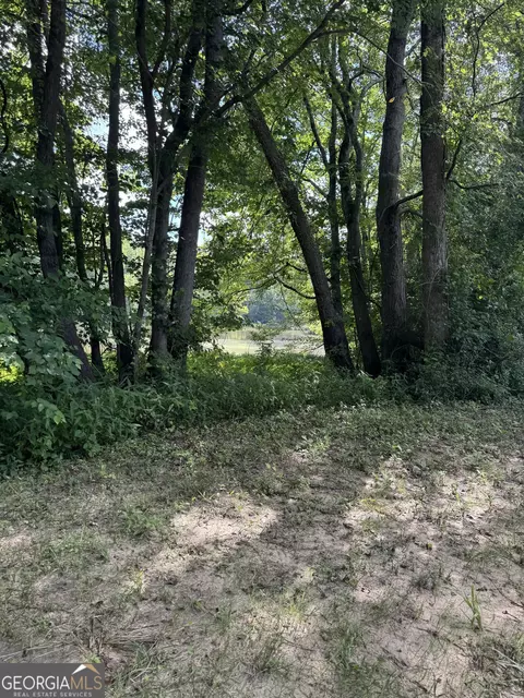 16653 Highway 36, Covington, GA 30014 photo 8