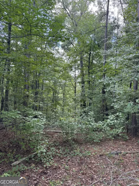 16653 Highway 36, Covington, GA 30014 photo 20