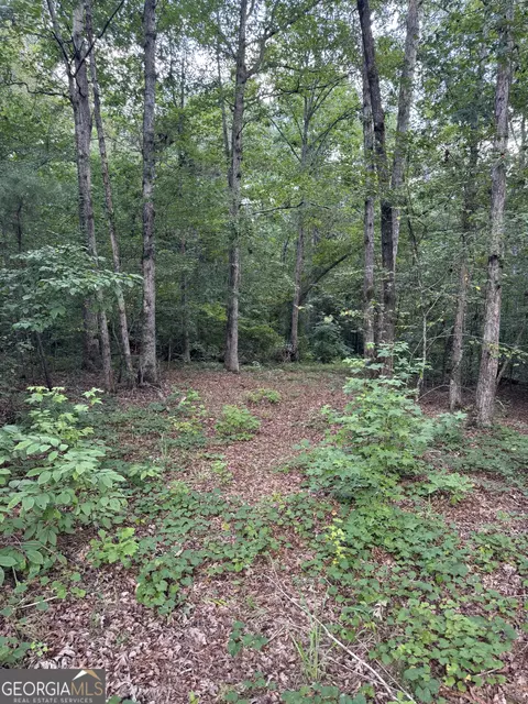 16653 Highway 36, Covington, GA 30014 photo 17