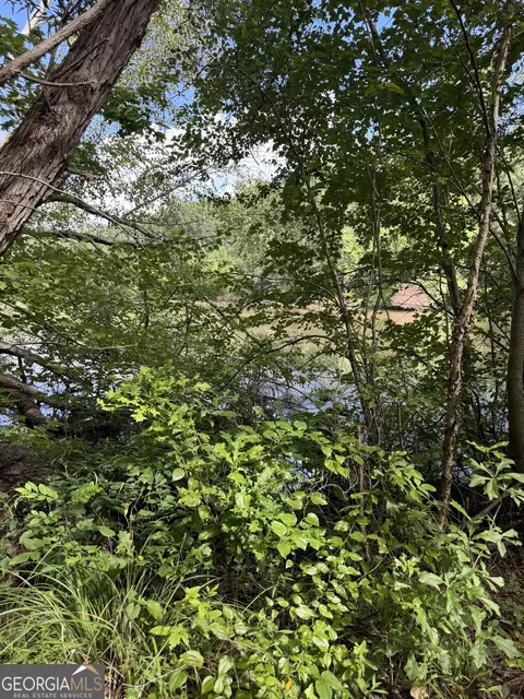 16653 Highway 36, Covington, GA 30014 photo 4