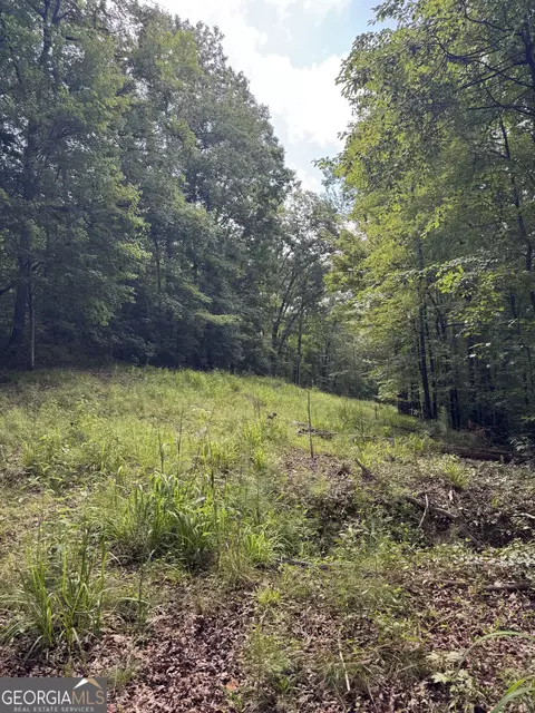 16653 Highway 36, Covington, GA 30014 photo 12