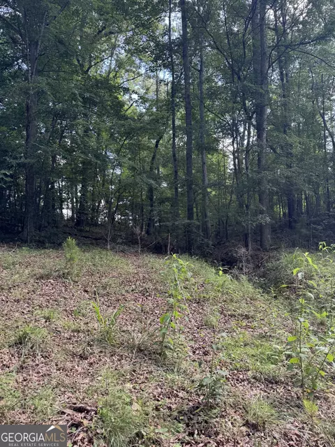 16653 Highway 36, Covington, GA 30014 photo 13