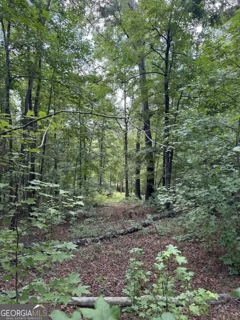 16653 Highway 36, Covington, GA 30014 photo 21