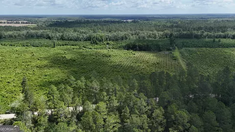 Tract 3 Bennett Mill Pond Road, Odum, GA 31555