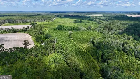 Tract 4 Bennett Mill Pond Road, Odum, GA 31555