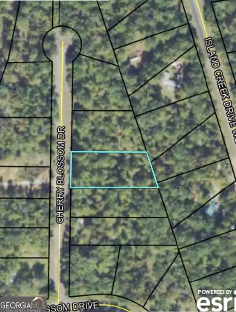 0 Cherry Blossom Dr, Sparta, GA 31087