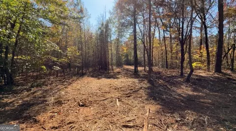 Tract A Russellville Road, Forsyth, GA 31029
