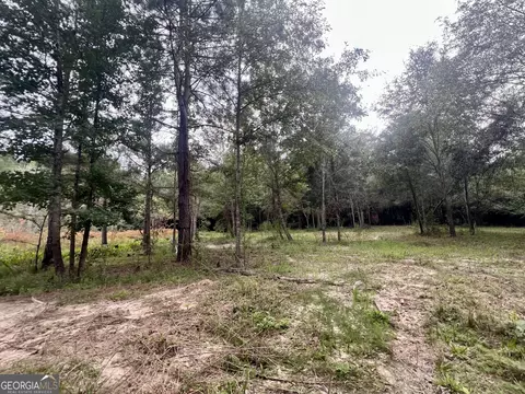 0 Mccarty Dodd Rd, Colbert, GA 30628 photo 3