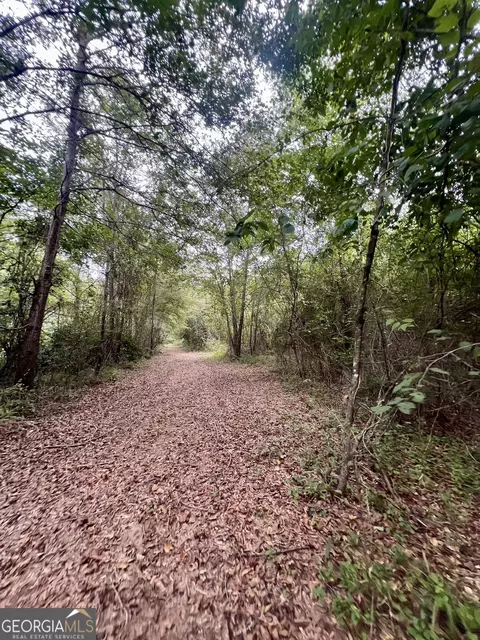 0 Mccarty Dodd Rd, Colbert, GA 30628 photo 4