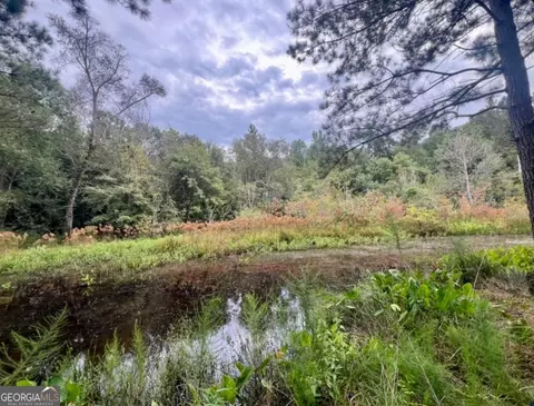 0 Mccarty Dodd Rd, Colbert, GA 30628 photo 2