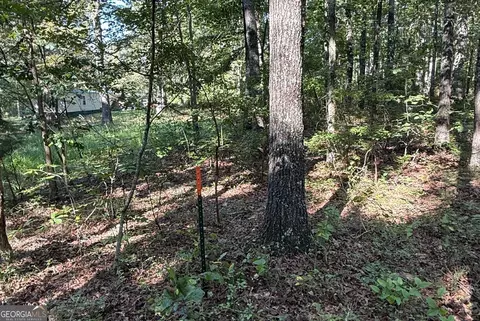 0 Turkey Ct #LOT 42 & 46, Waco, GA 30182