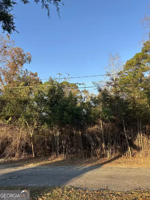 0 Bonaire St, Mc Rae, GA 31055