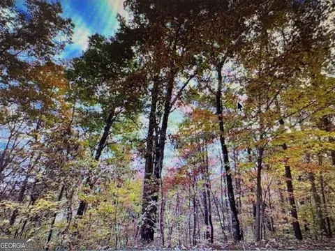 6 Morgan Crk #LOT 6, Young Harris, GA 30582