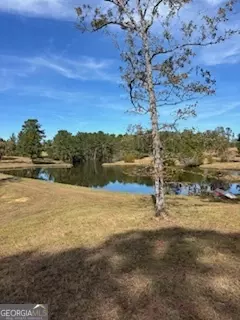 1430 John Wilkes Rd, Lyons, GA 30436