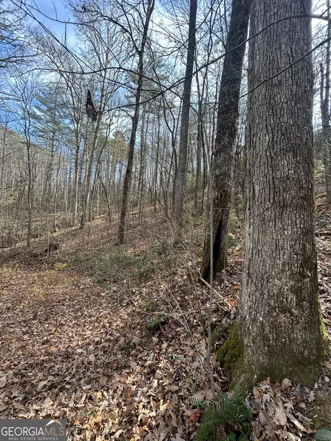 0 Amaryllis Ln, Tiger, GA 30576 photo 6