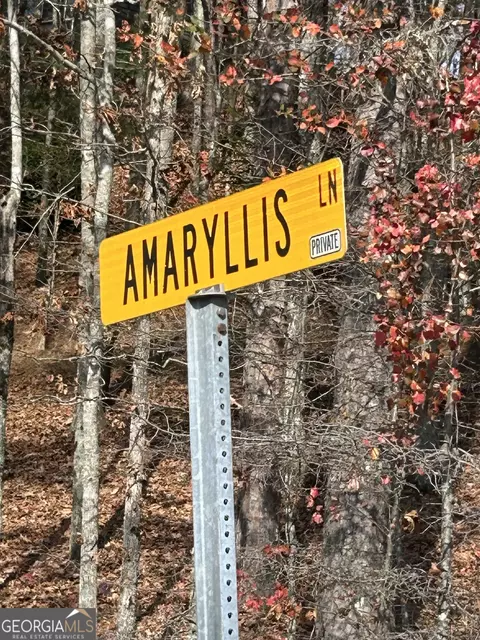 0 Amaryllis Ln, Tiger, GA 30576 photo 8