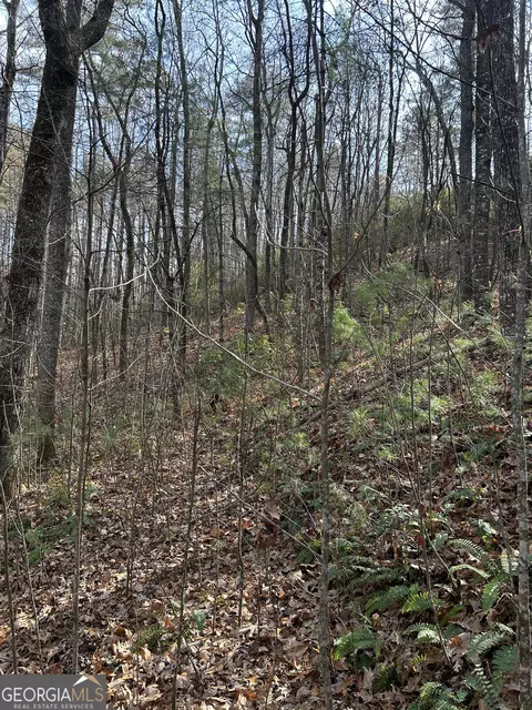 0 Amaryllis Ln, Tiger, GA 30576 photo 7