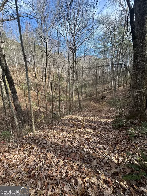 0 Amaryllis Ln, Tiger, GA 30576 photo 4