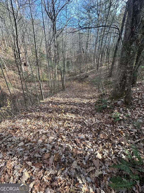 0 Amaryllis Ln, Tiger, GA 30576 photo 5