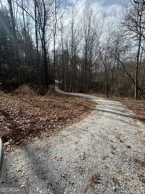 0 Amaryllis Ln, Tiger, GA 30576 photo 2