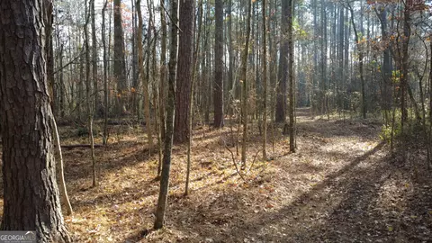 0 Hearn Rd, Monroe, GA 30656 photo 10