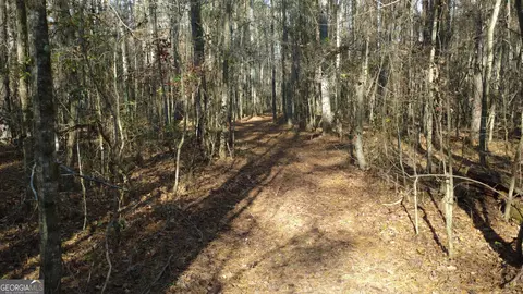 0 Hearn Rd, Monroe, GA 30656 photo 13