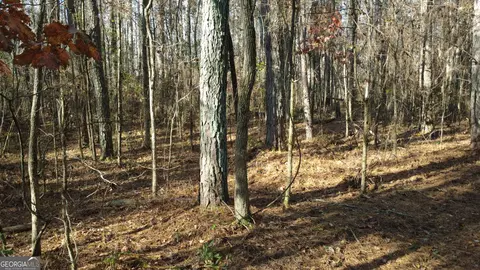 0 Hearn Rd, Monroe, GA 30656 photo 12