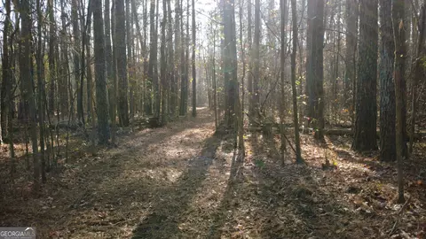 0 Hearn Rd, Monroe, GA 30656 photo 11