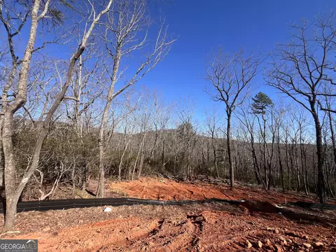 194 Pinecrest Rd, Clarkesville, GA 30523 photo 4