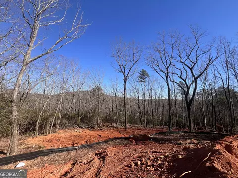194 Pinecrest Rd, Clarkesville, GA 30523 photo 5